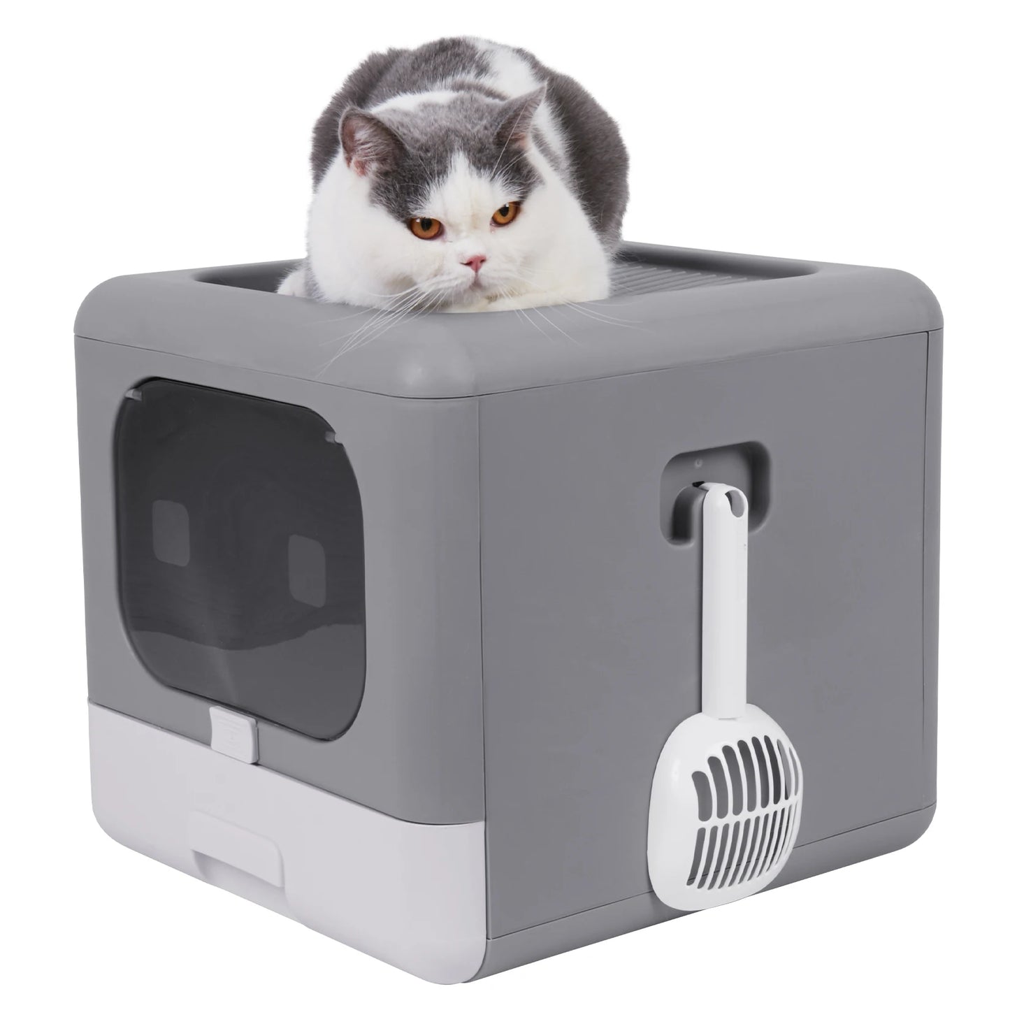 Caixa de Areia para Gatos Completa
