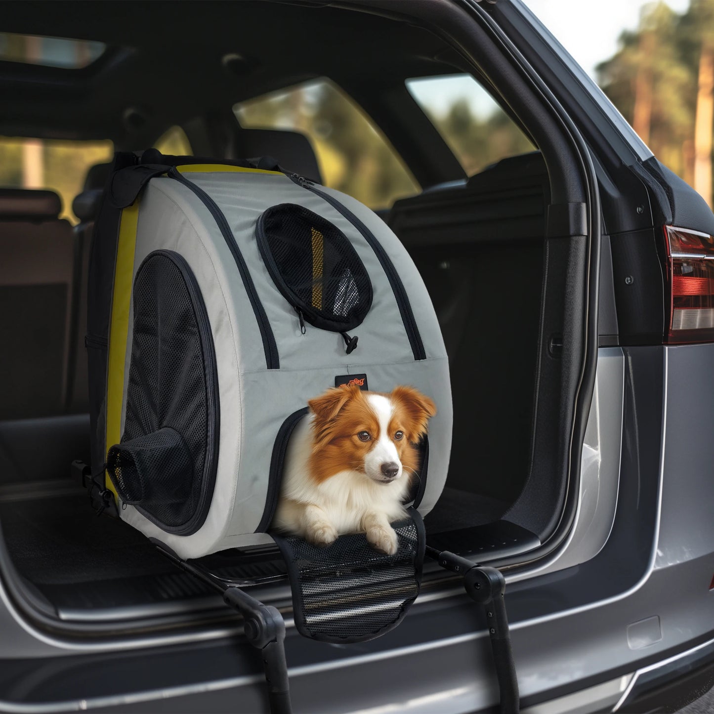 Carrinho 2 em 1 para Cães