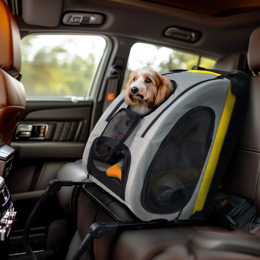 Carrinho 2 em 1 para Cães